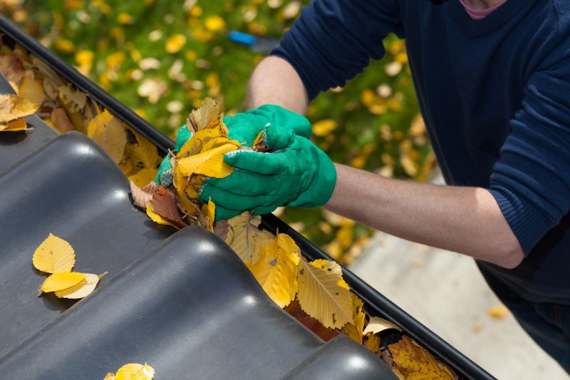 Gutter Leaf Removal