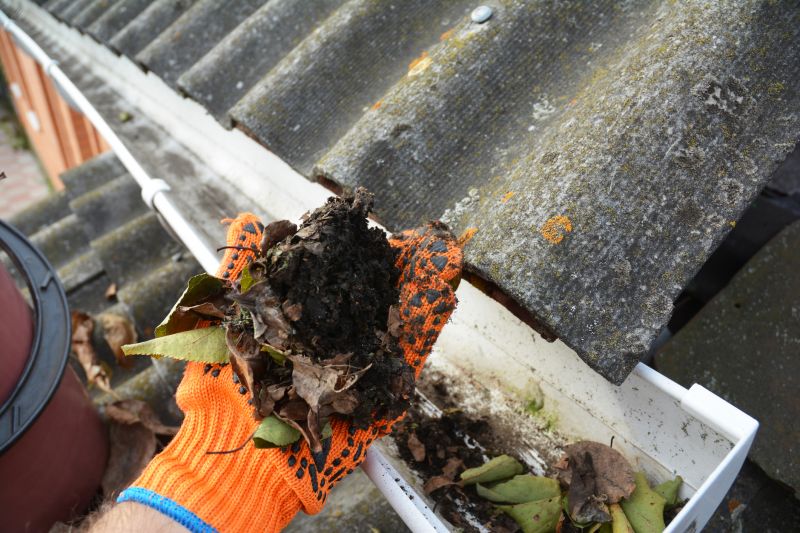 Commercial Gutter Maintenance in Mcdonough, GA