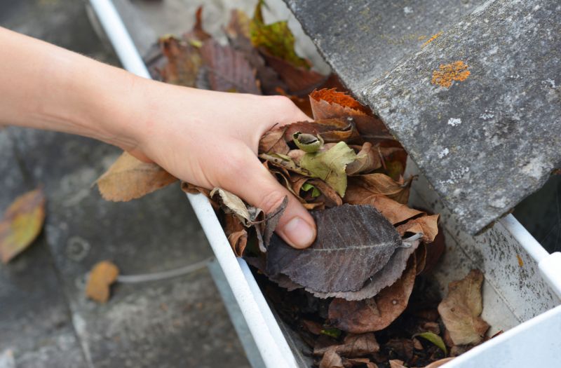 Gutter Leaf Removal