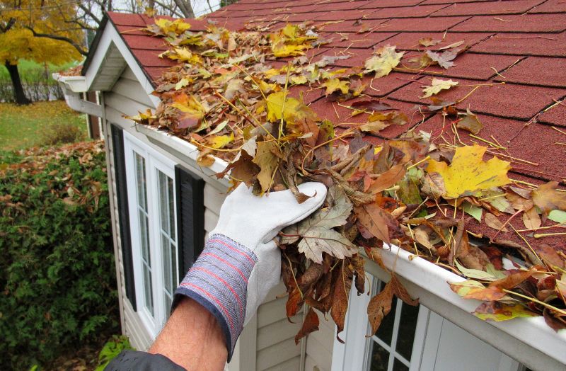 Gutter Leaf Removal