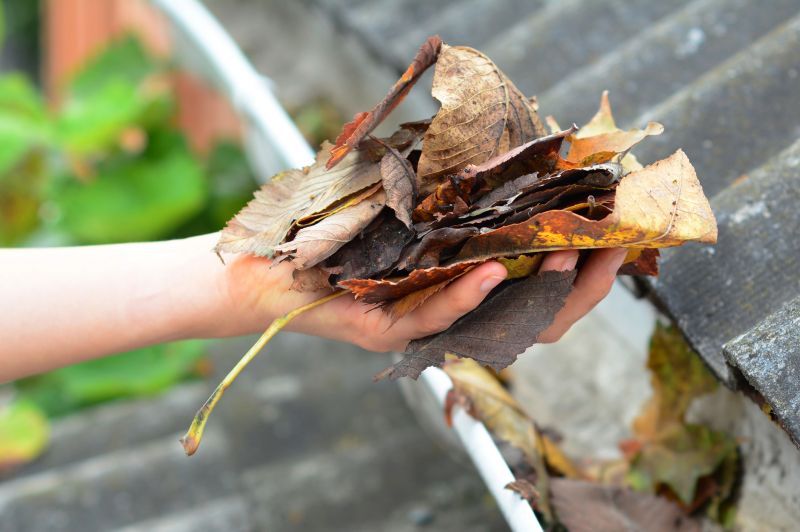 Gutter Leaf Removal