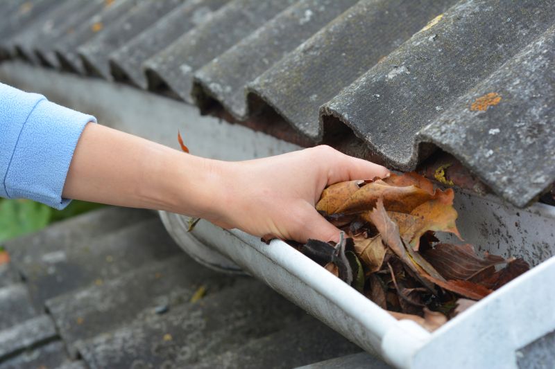 Gutter Leaf Removal