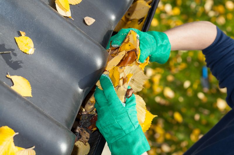 Gutter Leaf Removal