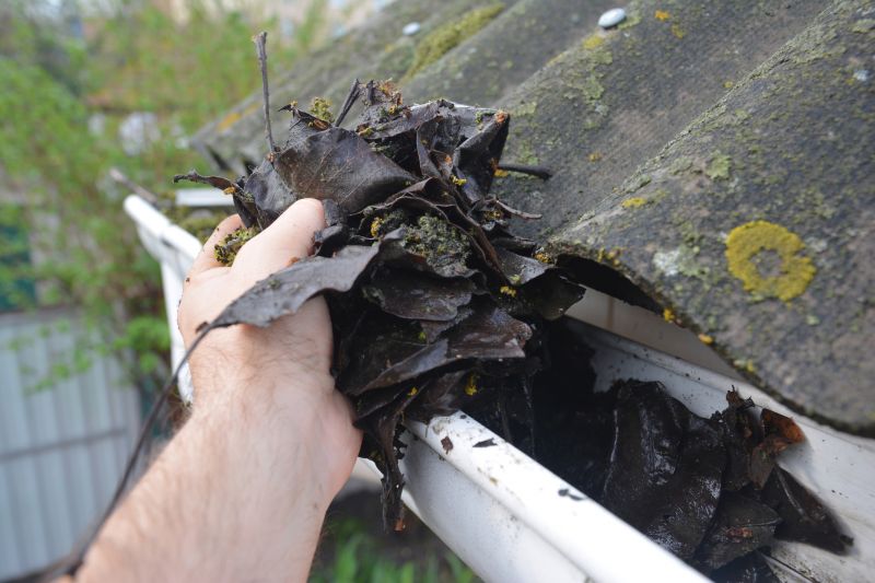 Gutter Leaves Removal in Pittsburgh, PA